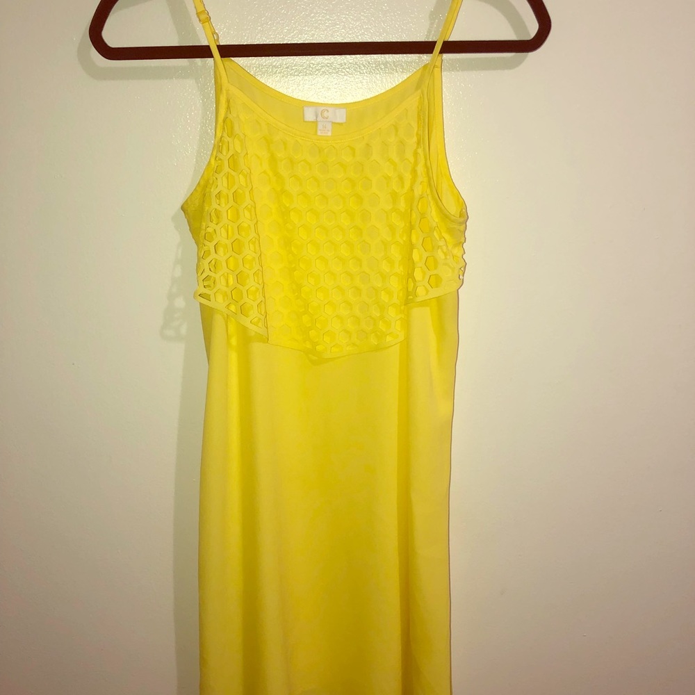 Charming Charlie Dress
